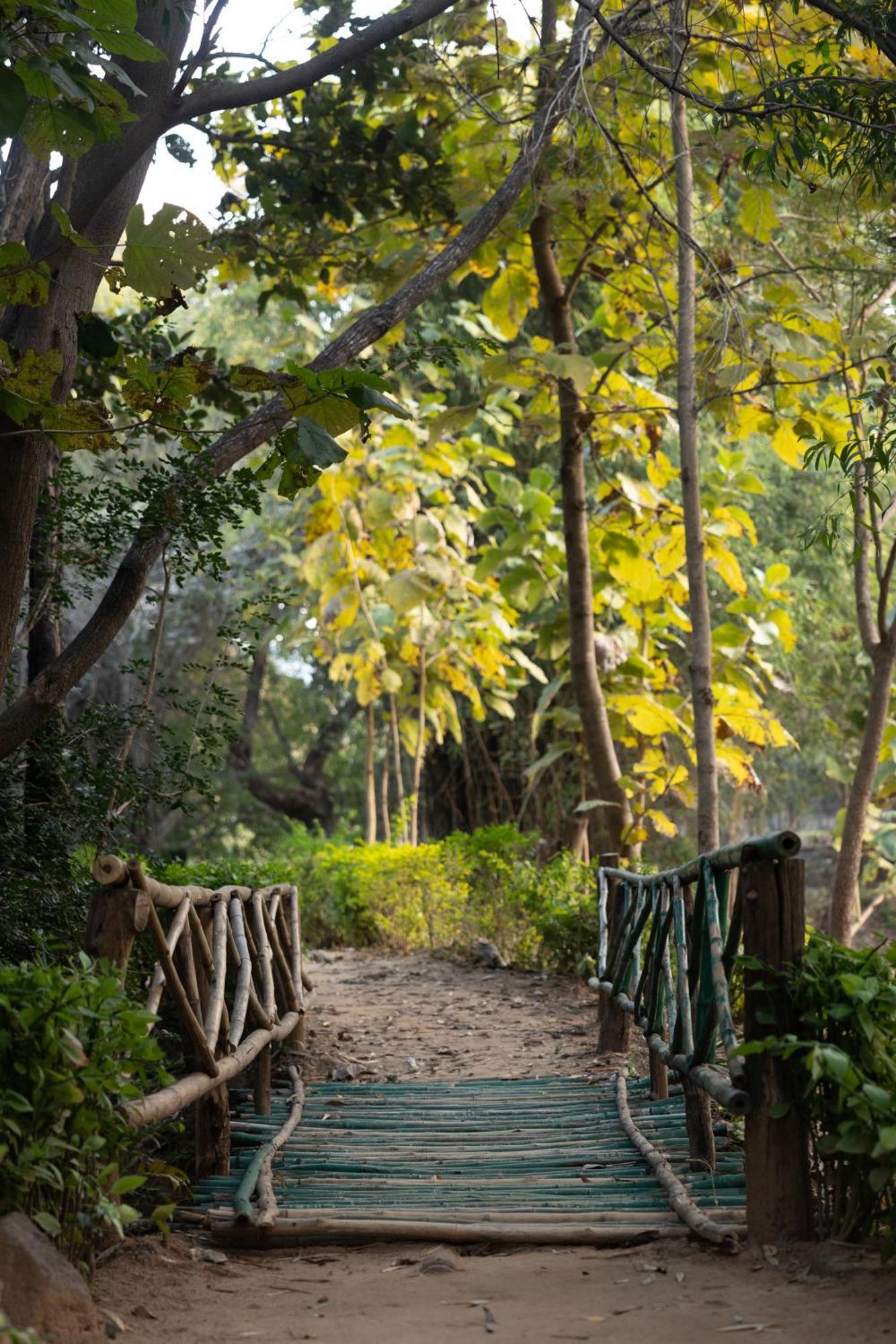 Tiger Trails Resort Tāla Zewnętrze zdjęcie