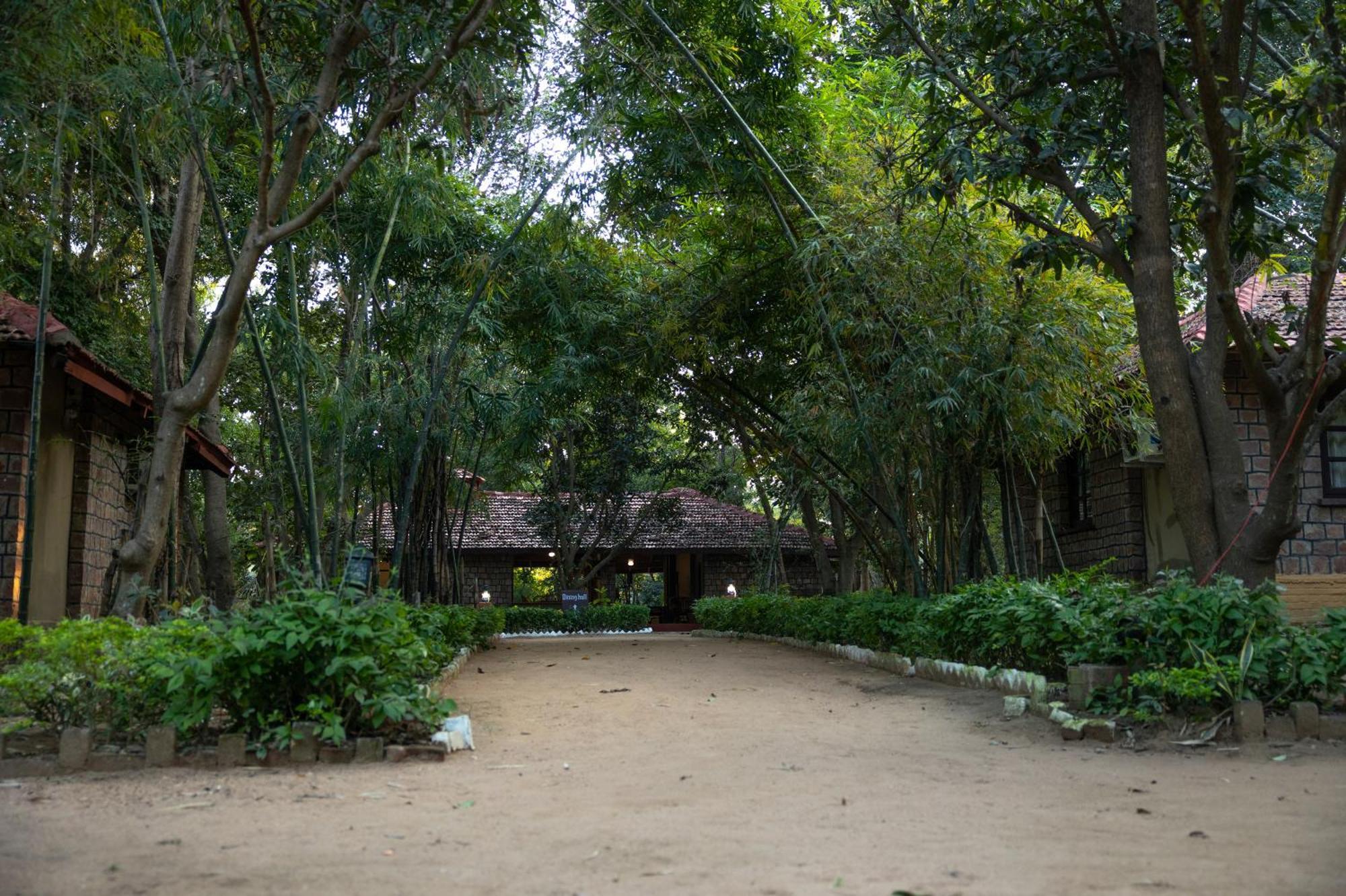 Tiger Trails Resort Tāla Zewnętrze zdjęcie